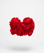 Top Desert Rose - immagine 7
